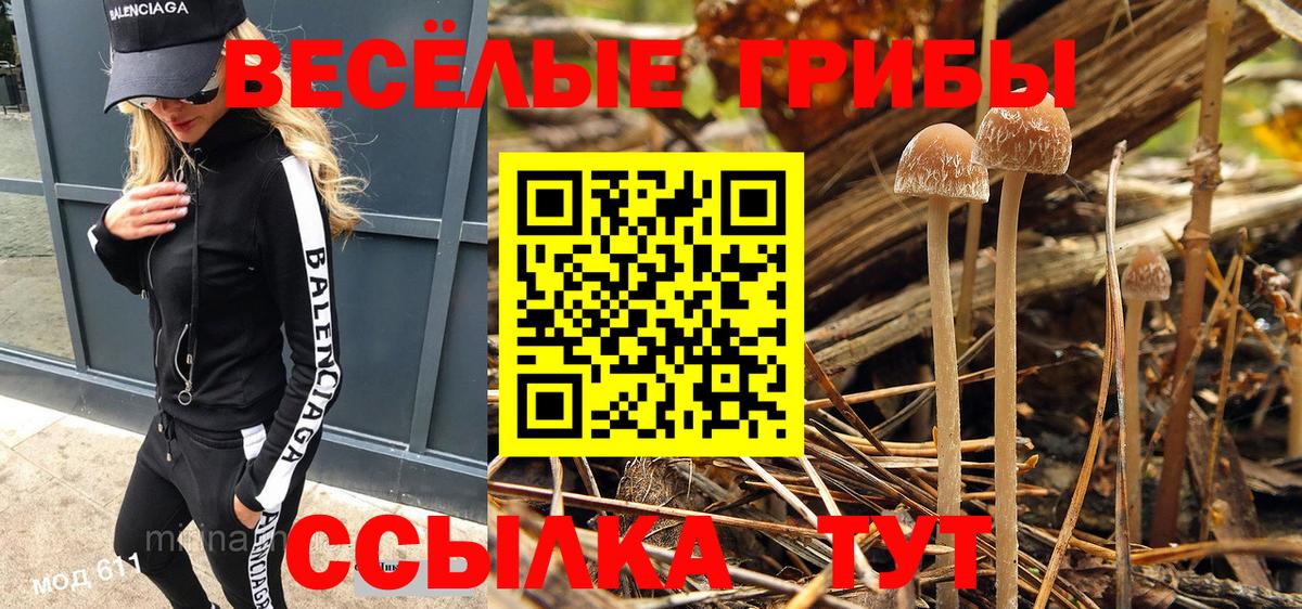 Галлюциногенные грибы Magic Shrooms Рубцовск