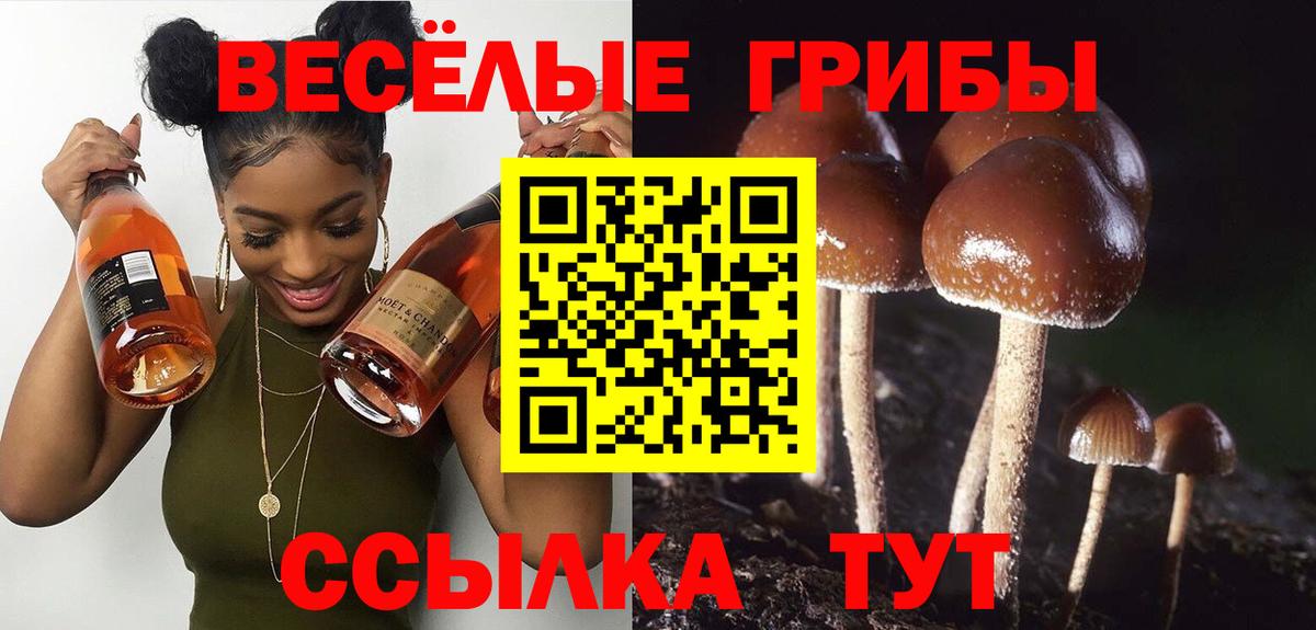 Галлюциногенные грибы ЛСД  Вход с VPN  Рубцовск 